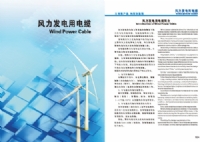 太阳网集团官方网站图片